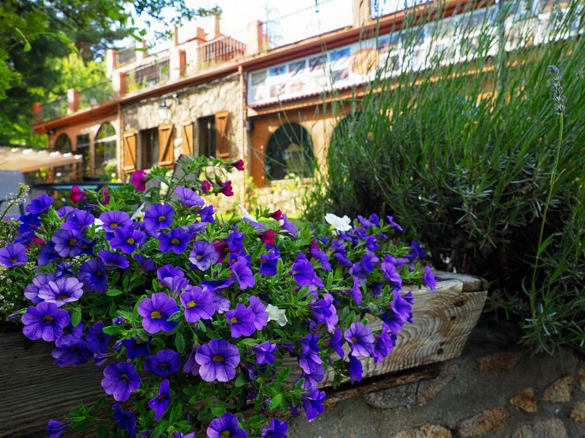 Hospedium Hostal Almanzor Navarredonda de Gredos Exterior photo
